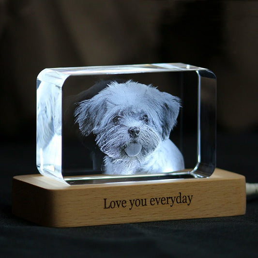 3D Photo Engrave Customized Crystal Round Corner Cuboid Beech Base LED Light Cold White Desktop Ornament Crystal Crafts Prismuse Horizontal  
